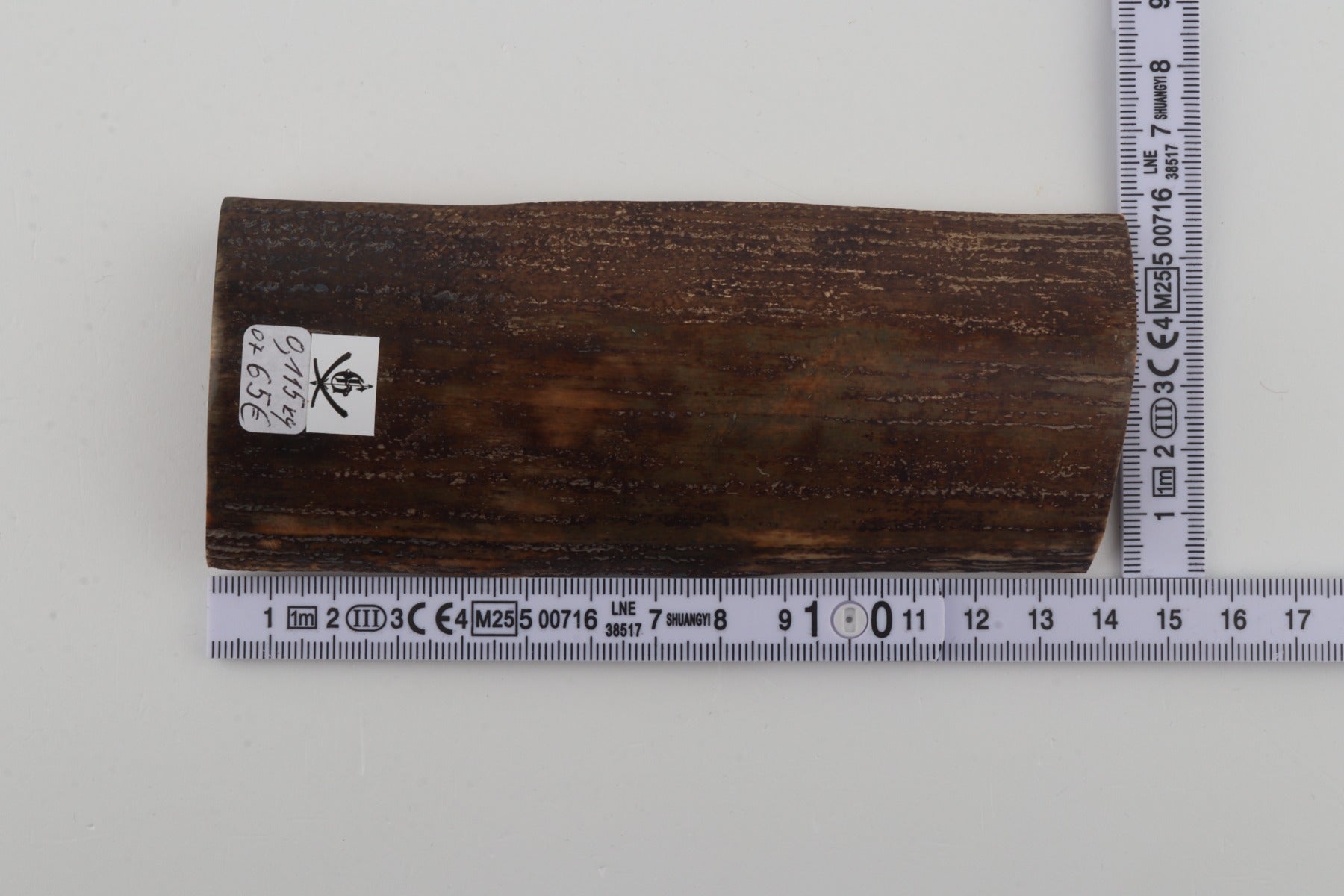 Brown-green mammoth bark