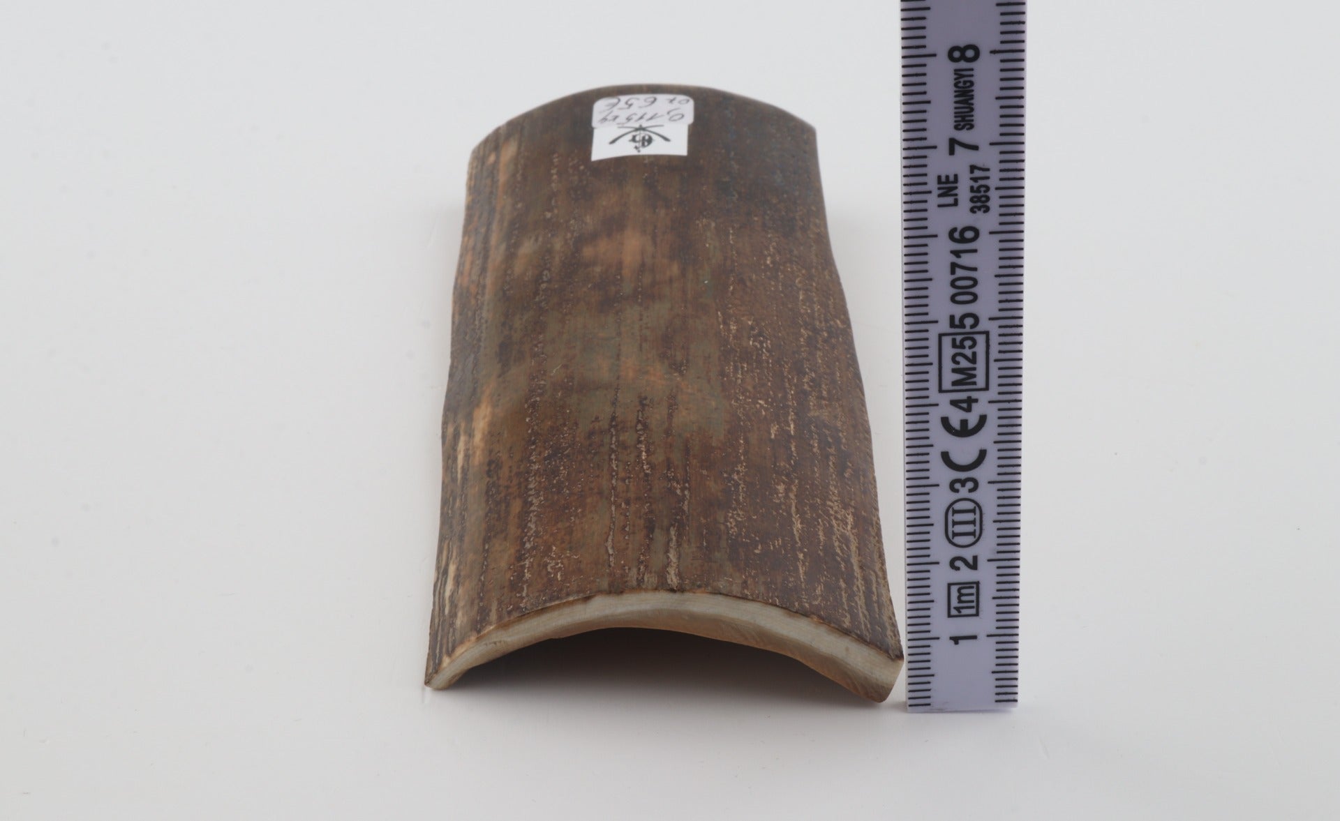 Brown-green mammoth bark
