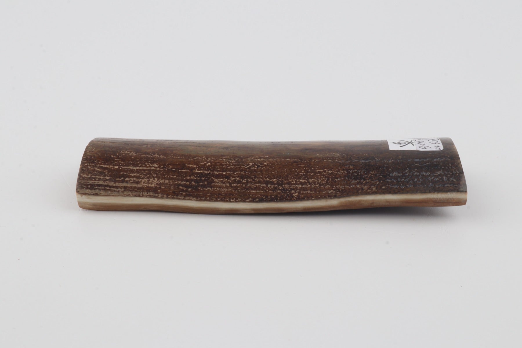 Brown-green mammoth bark