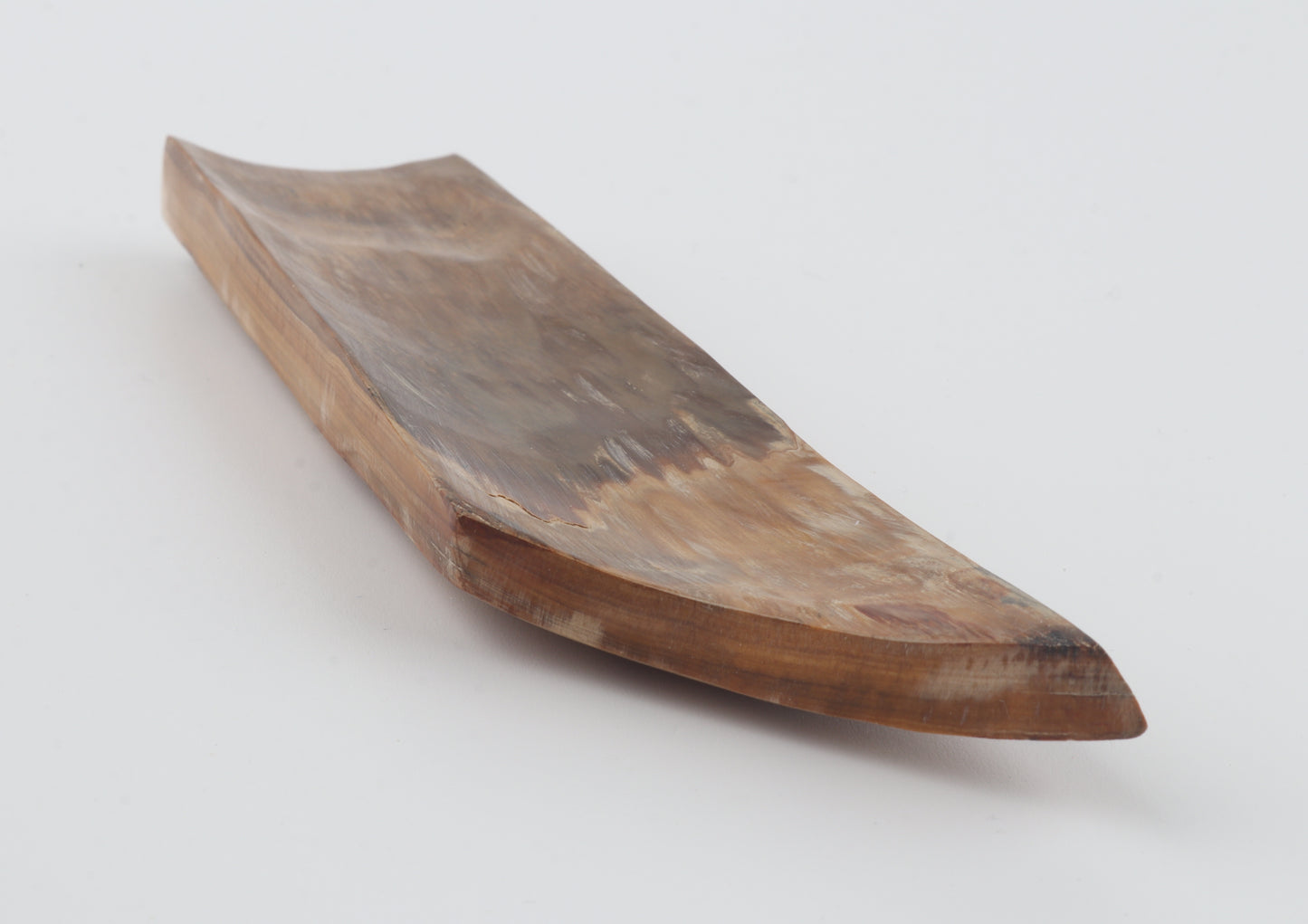 Beige-orange mammoth bark