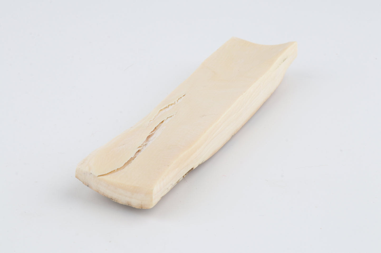 Beige-blue mammoth bark