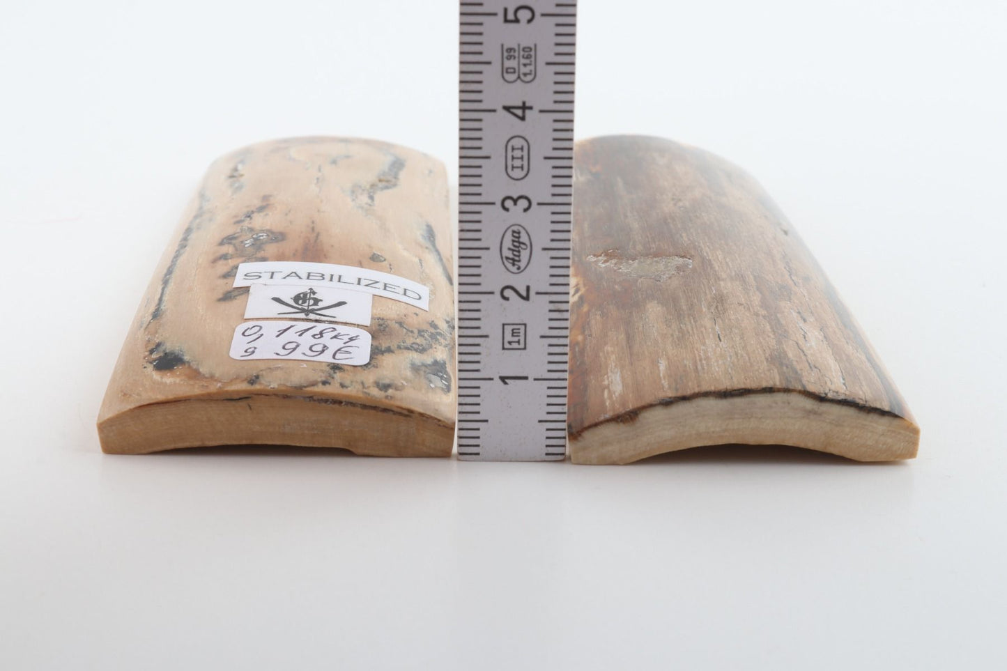Stabilised mammoth bark scales