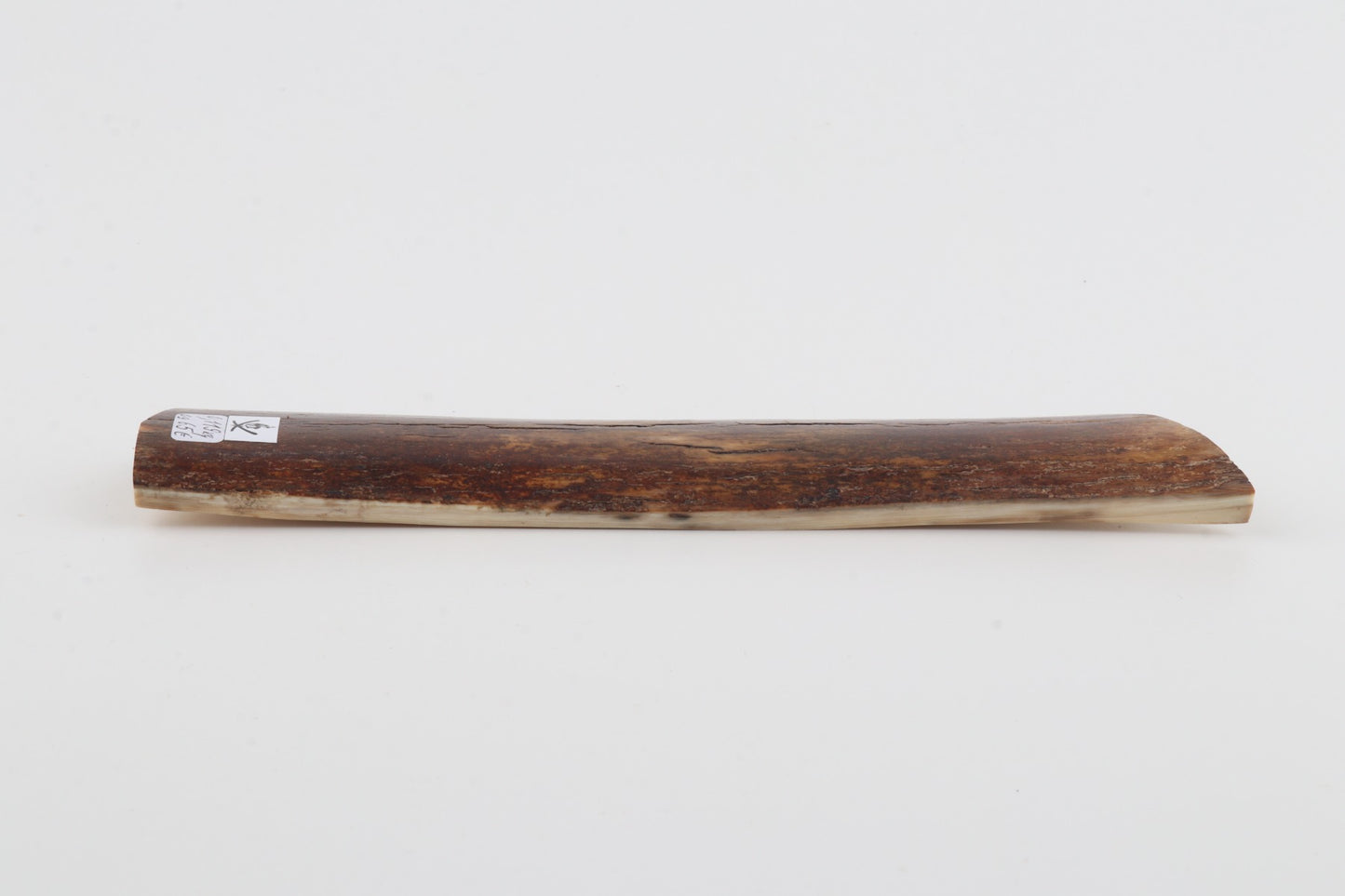 Brown mammoth bark
