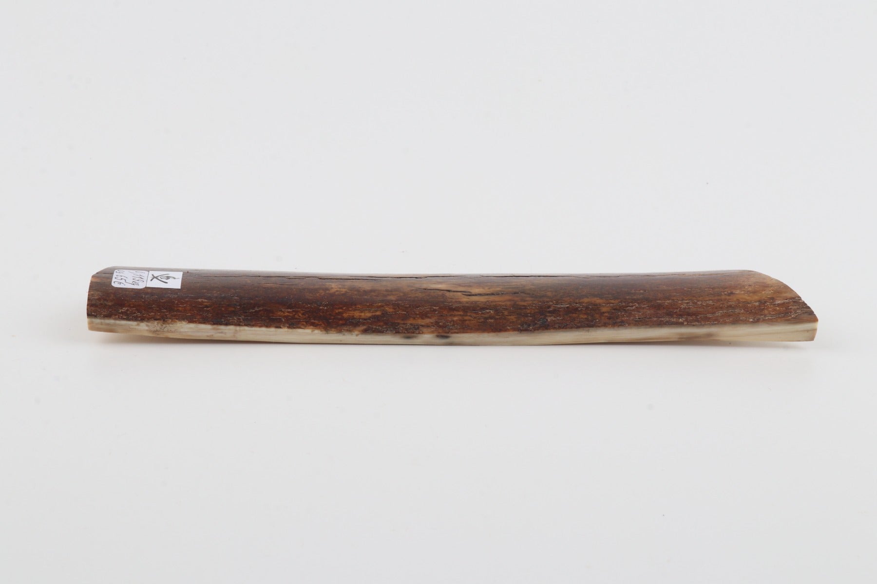 Brown mammoth bark
