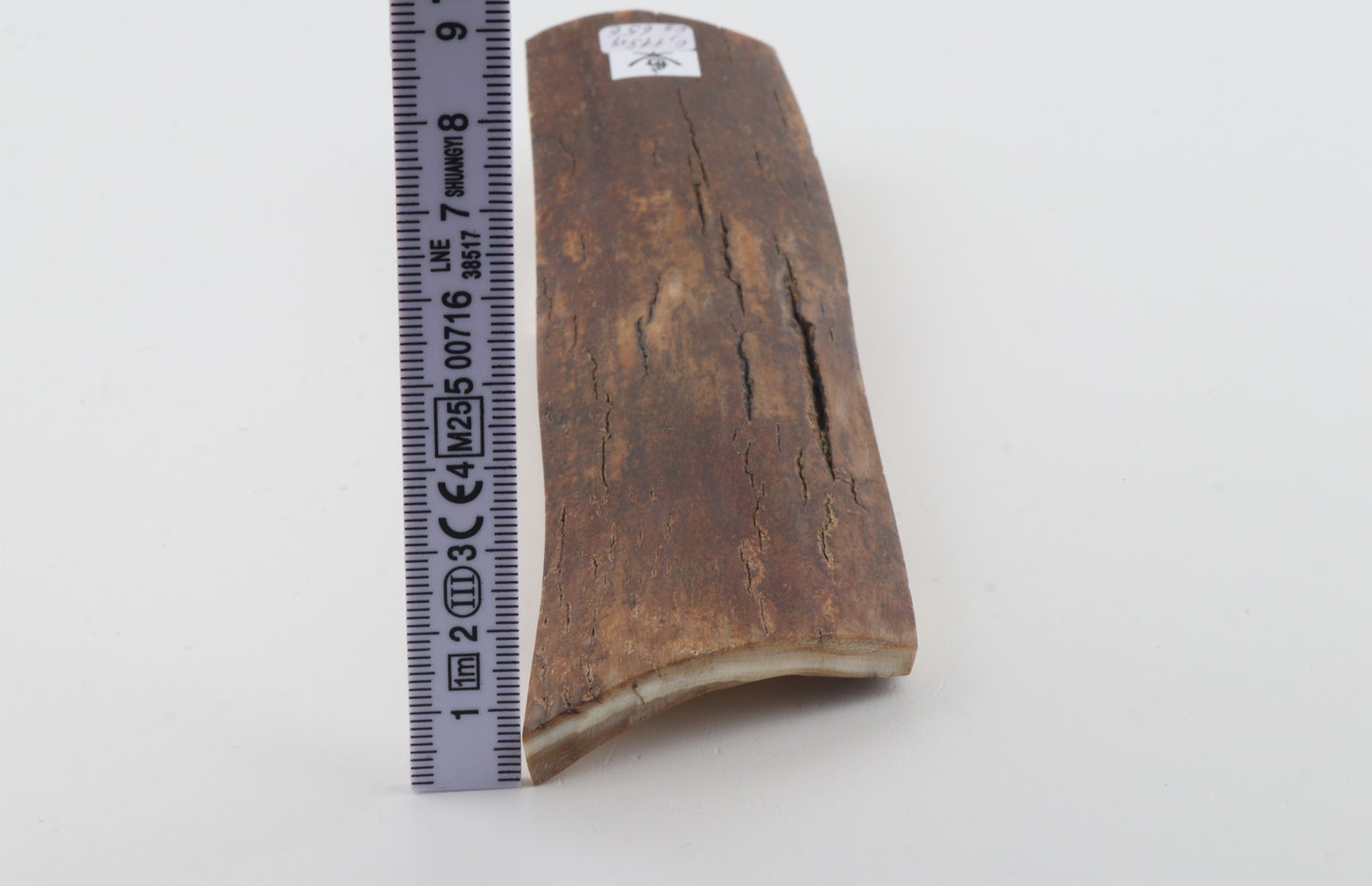 Brown mammoth bark