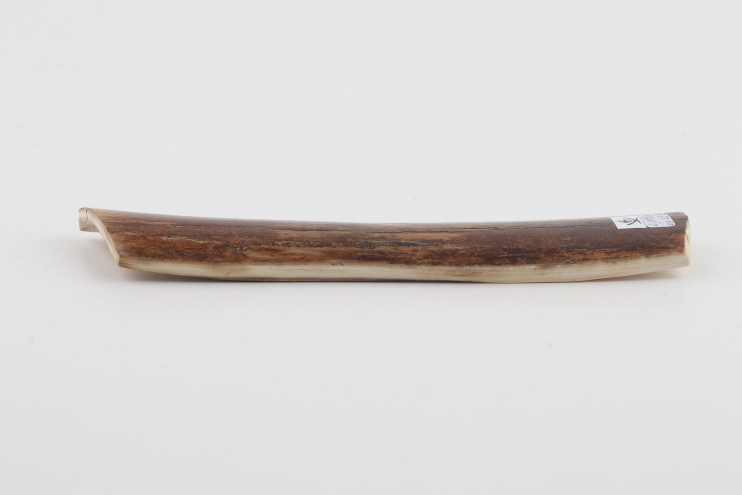 Brown mammoth bark
