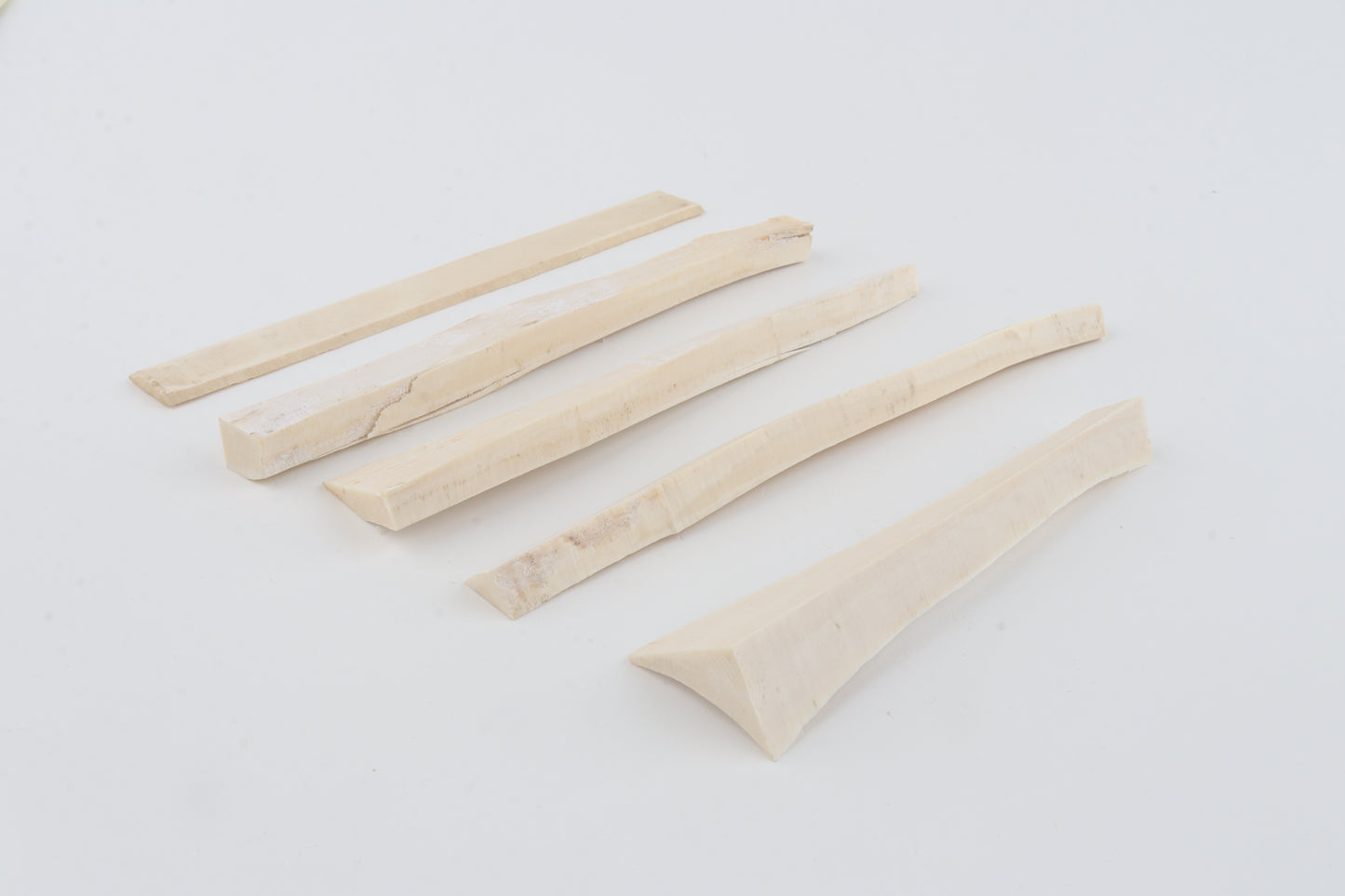 White mammoth ivory pieces