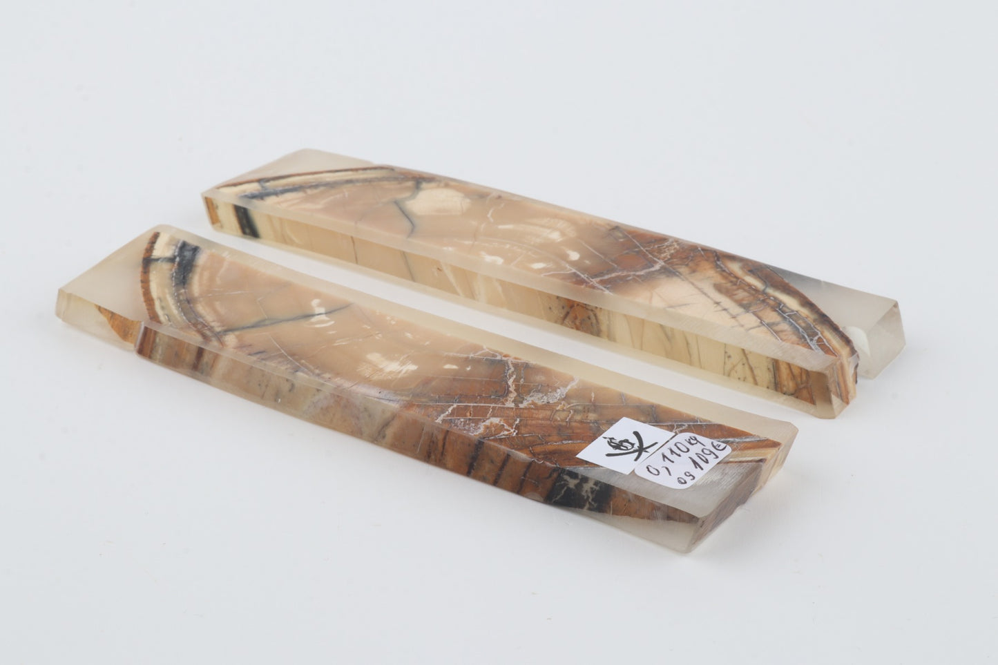 Stabilized mammoth ivory scales