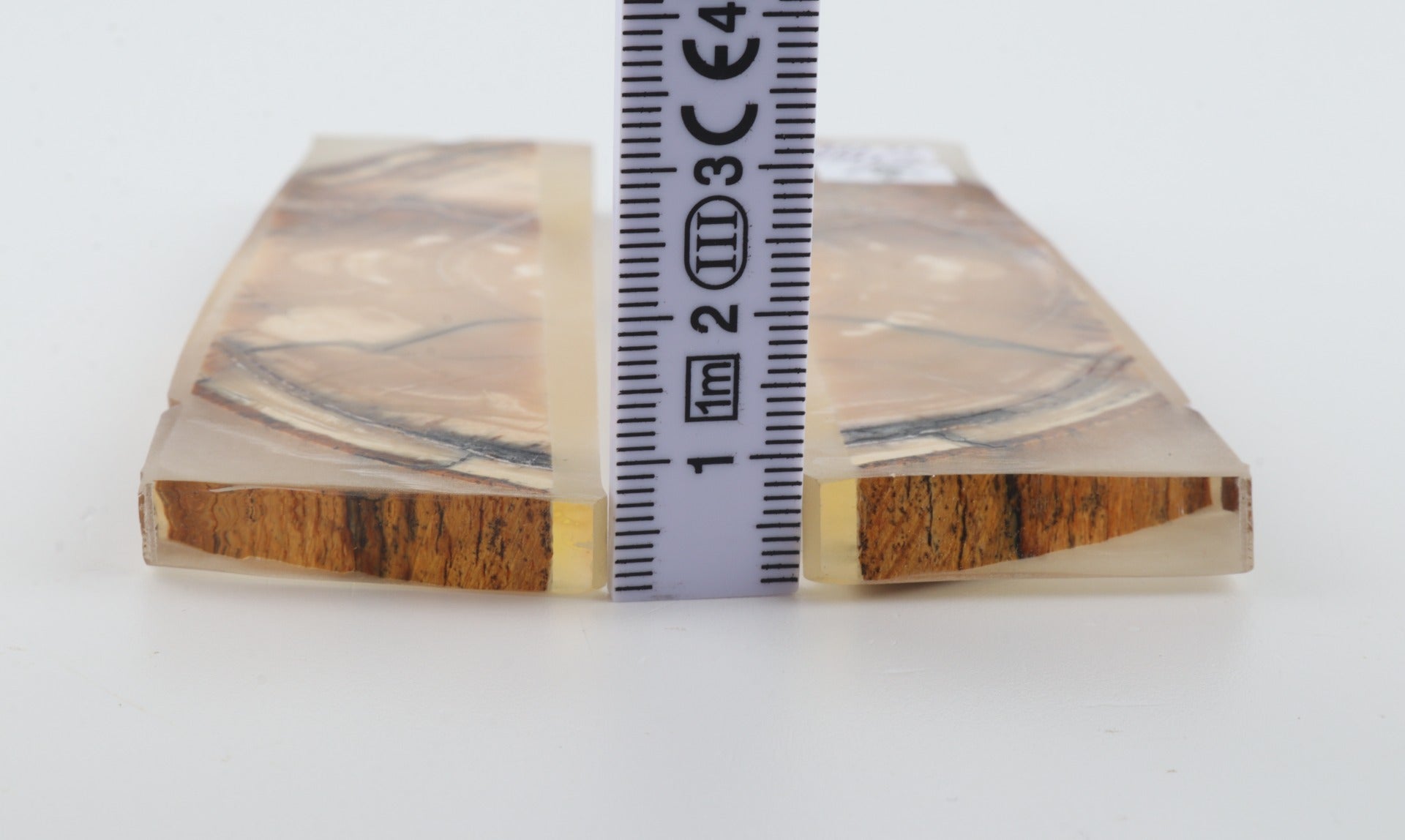 Stabilized mammoth ivory scales