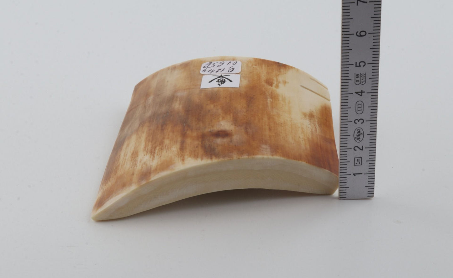 Yellow-orange mammoth bark