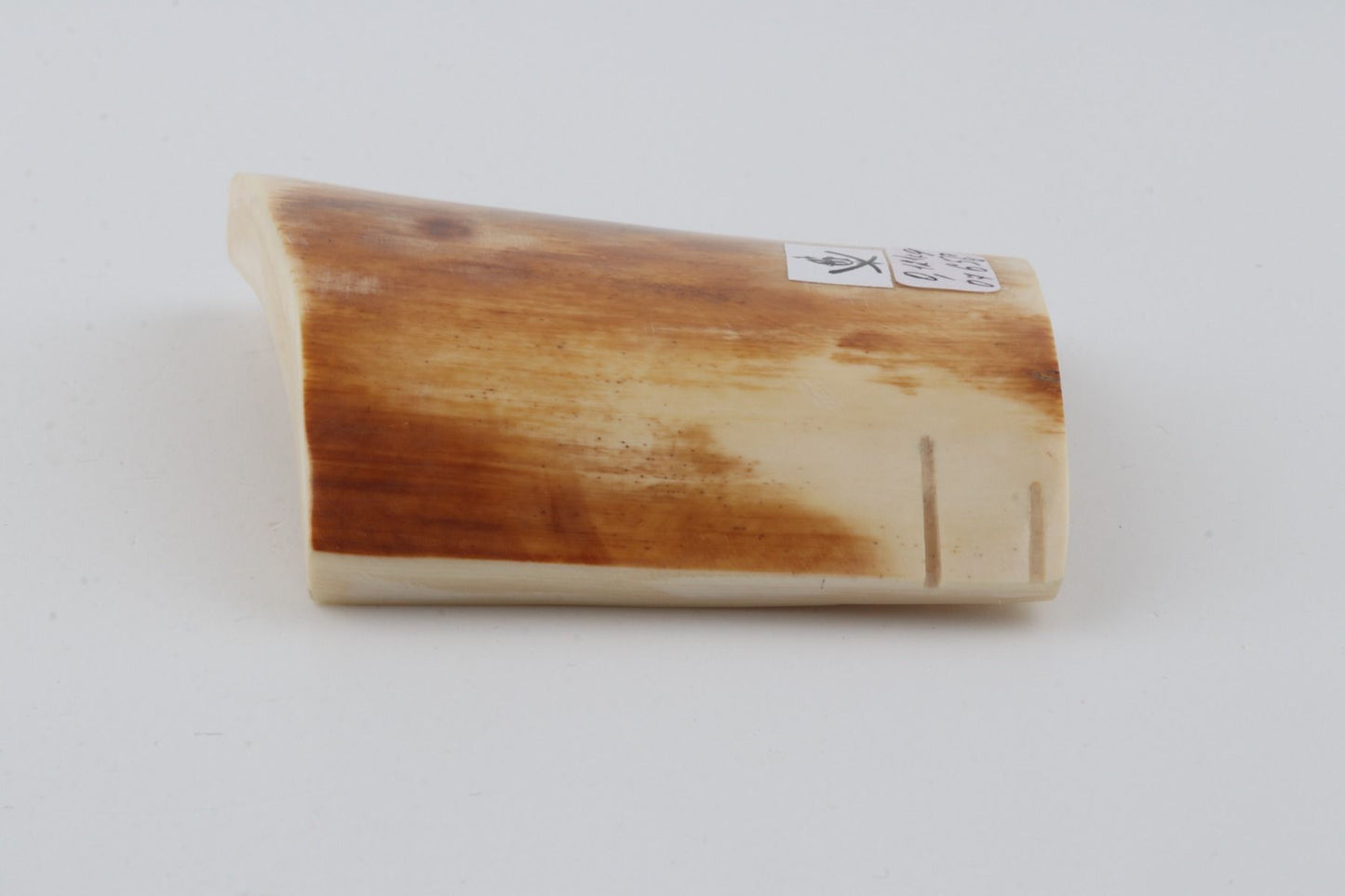 Yellow-orange mammoth bark