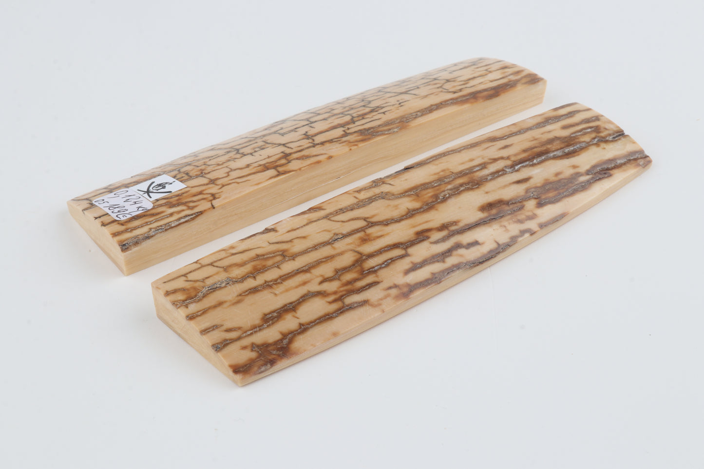 Natural mammoth bark scales