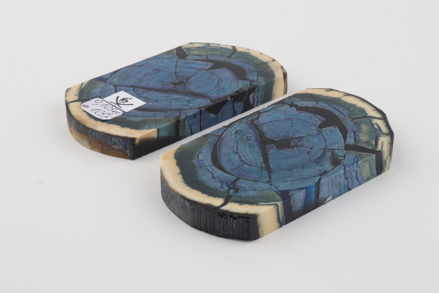 Stabilized mammoth ivory scales