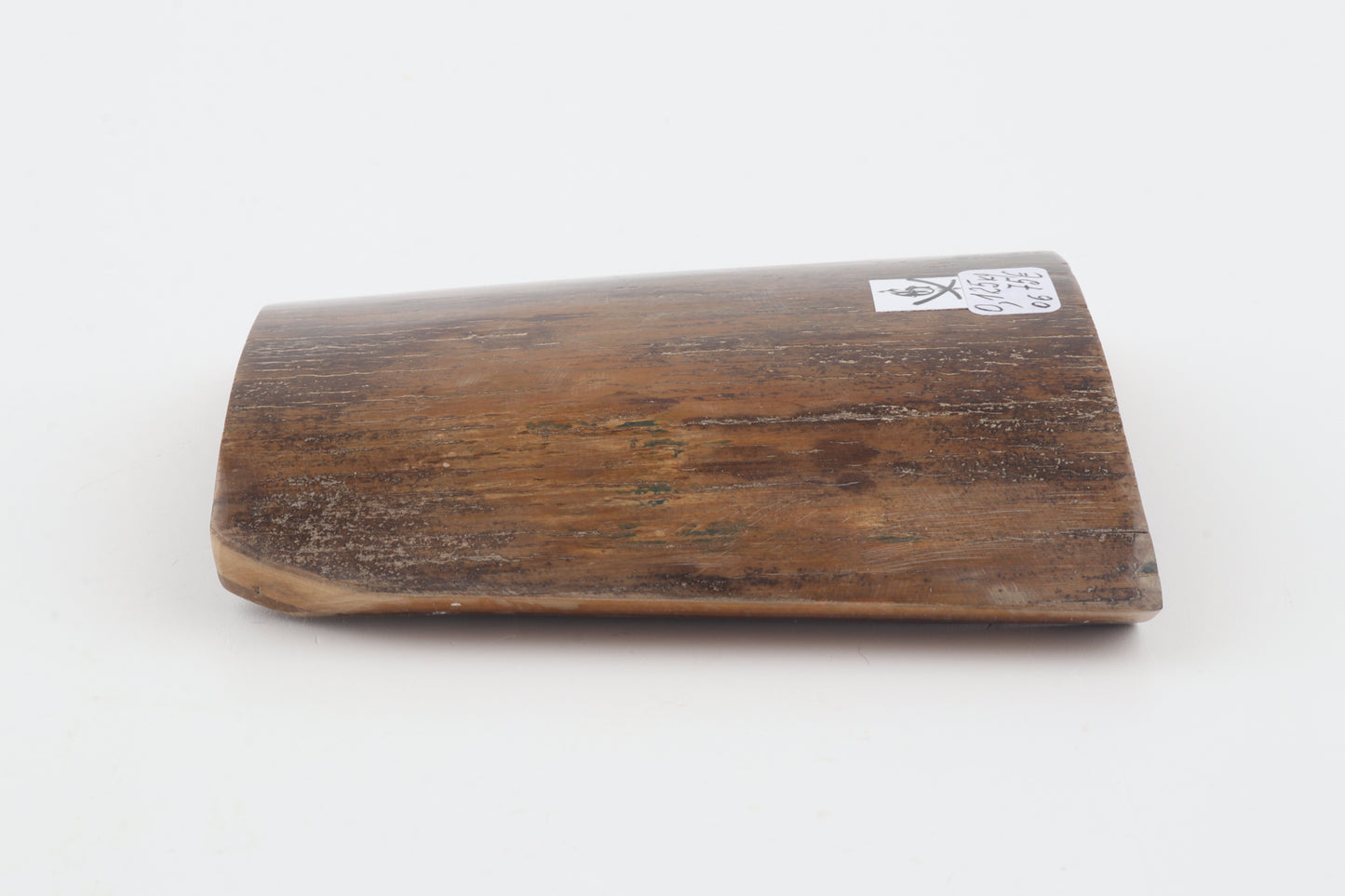 Brown-yellow mammoth bark