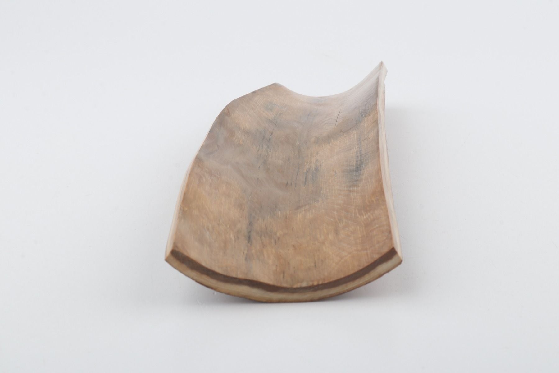 Beige mammoth bark