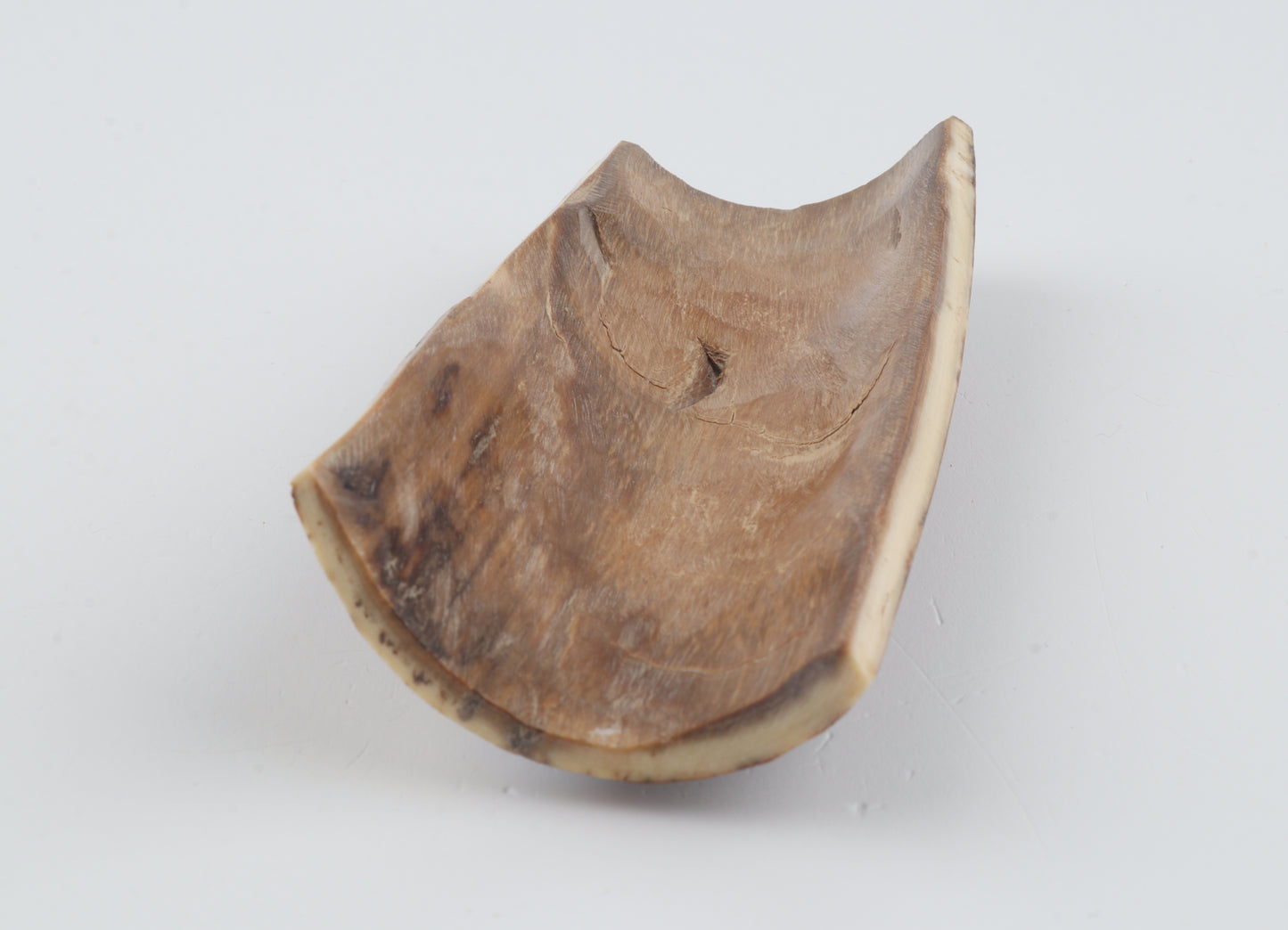 Brown-red mammoth bark