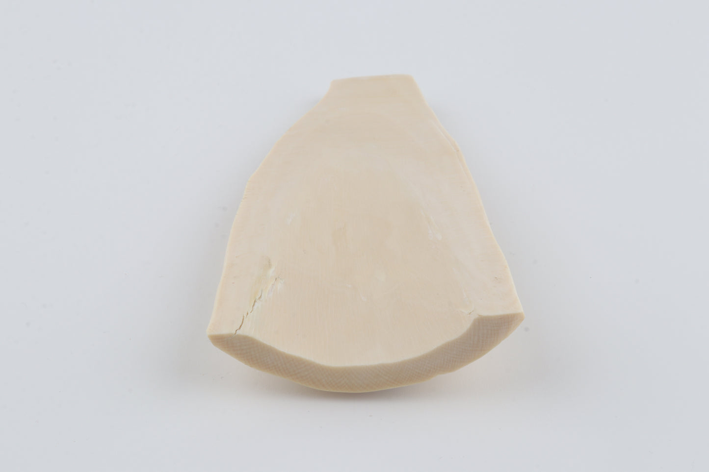 White mammoth ivory piece