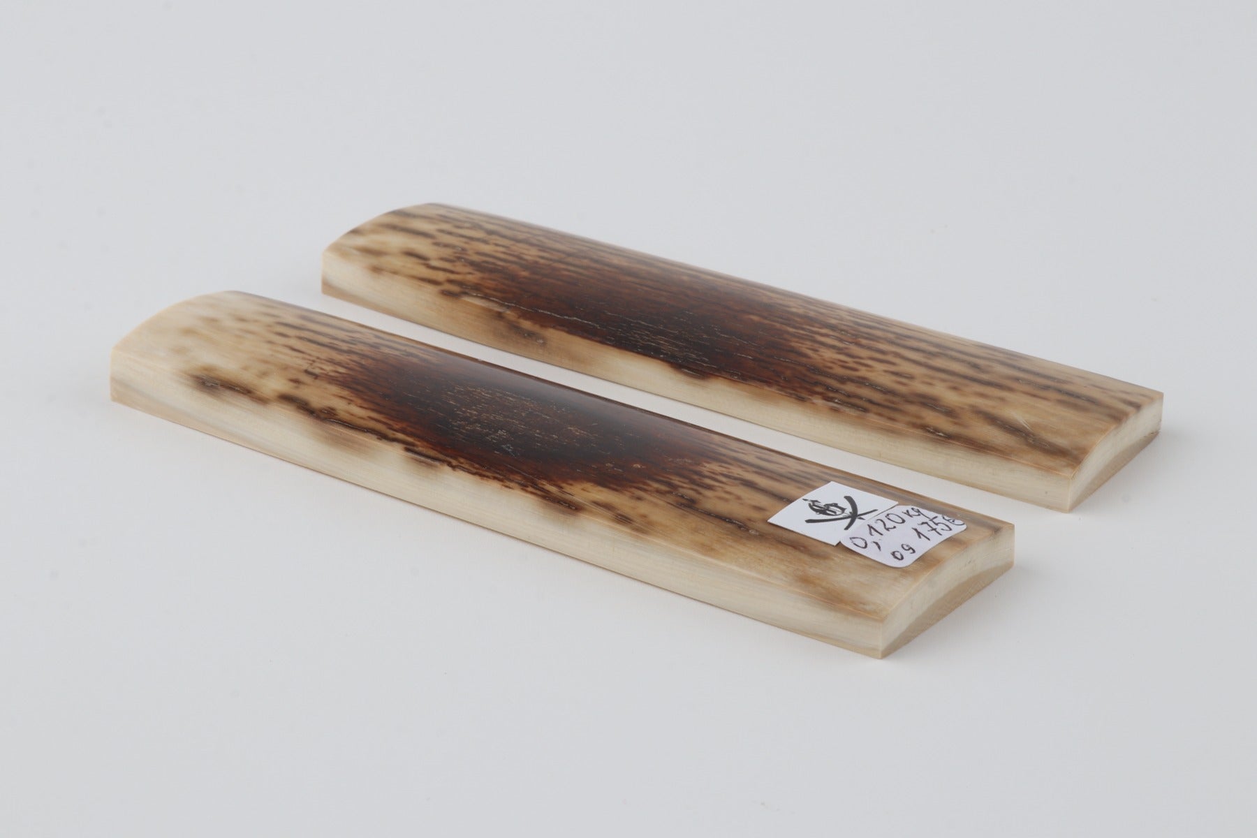 Natural mammoth bark scales