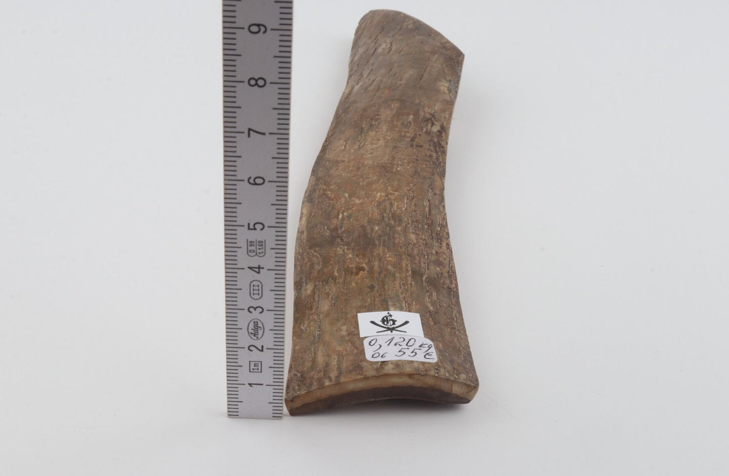 Beige mammoth bark
