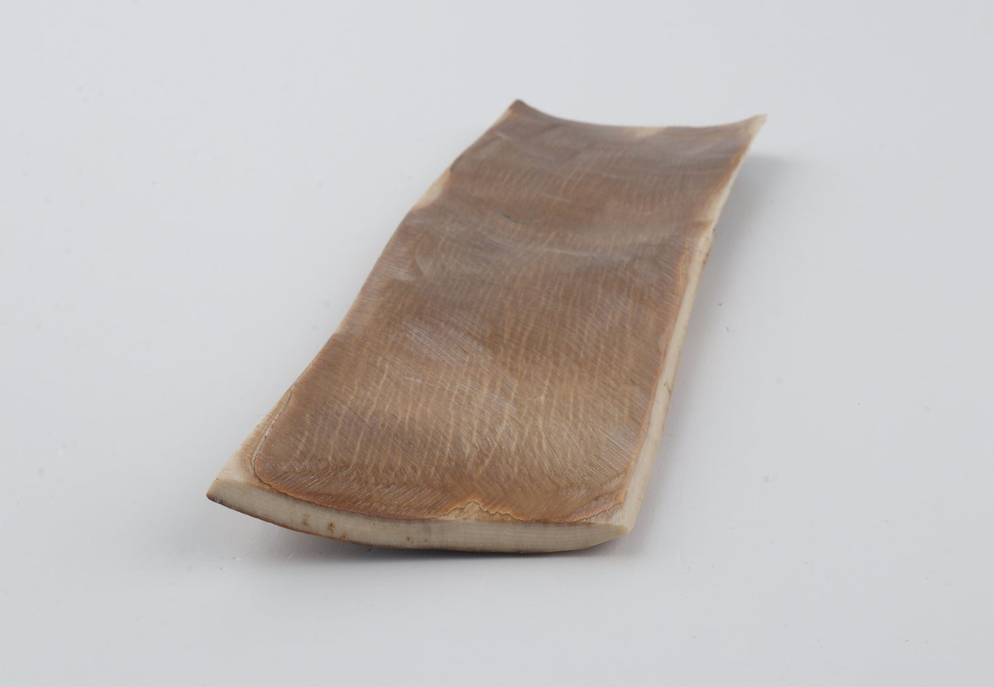 Multicolored mammoth bark