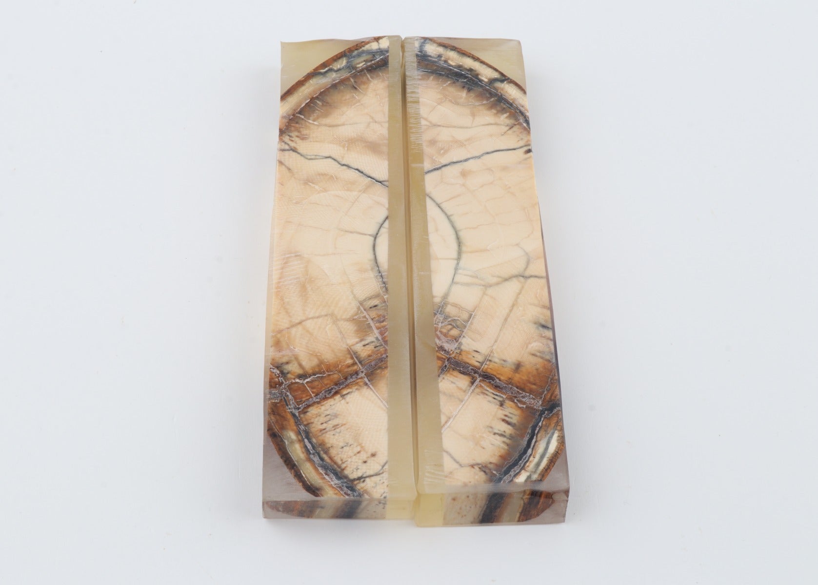 Stabilized mammoth ivory scales