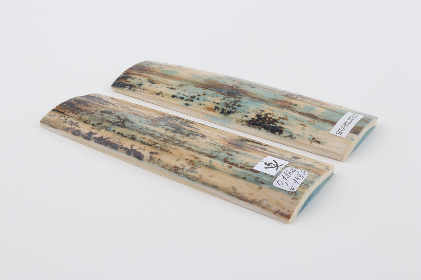 Stabilized mammoth bark scales