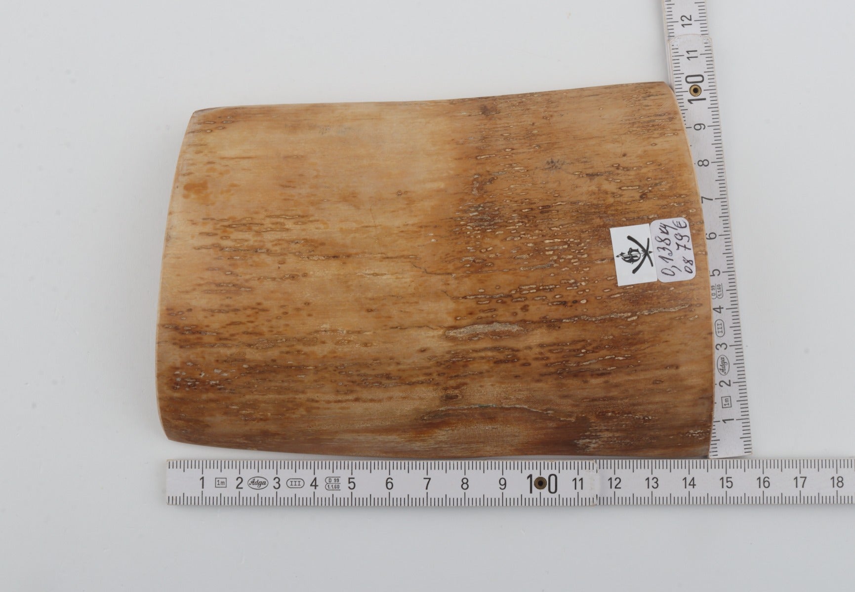 Beige mammoth bark