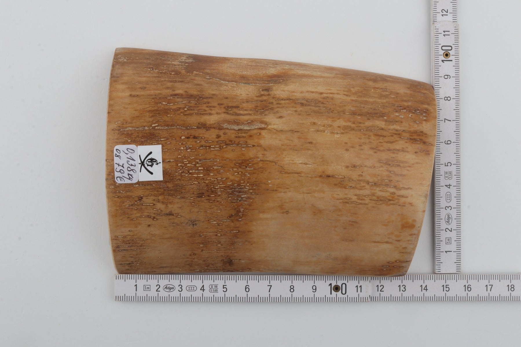 Beige mammoth bark