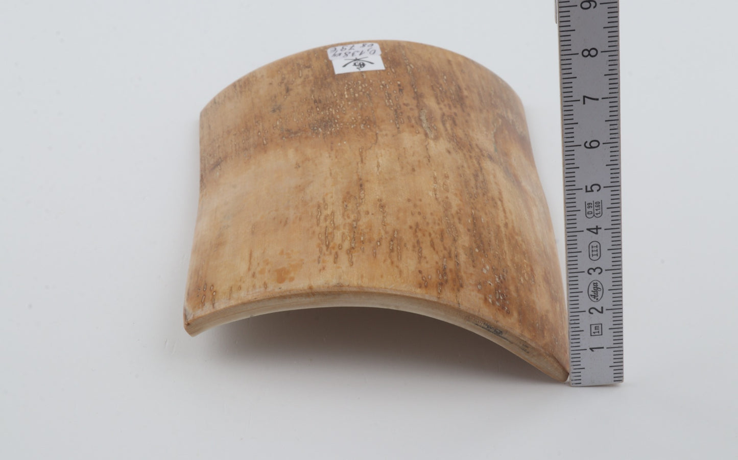 Beige mammoth bark