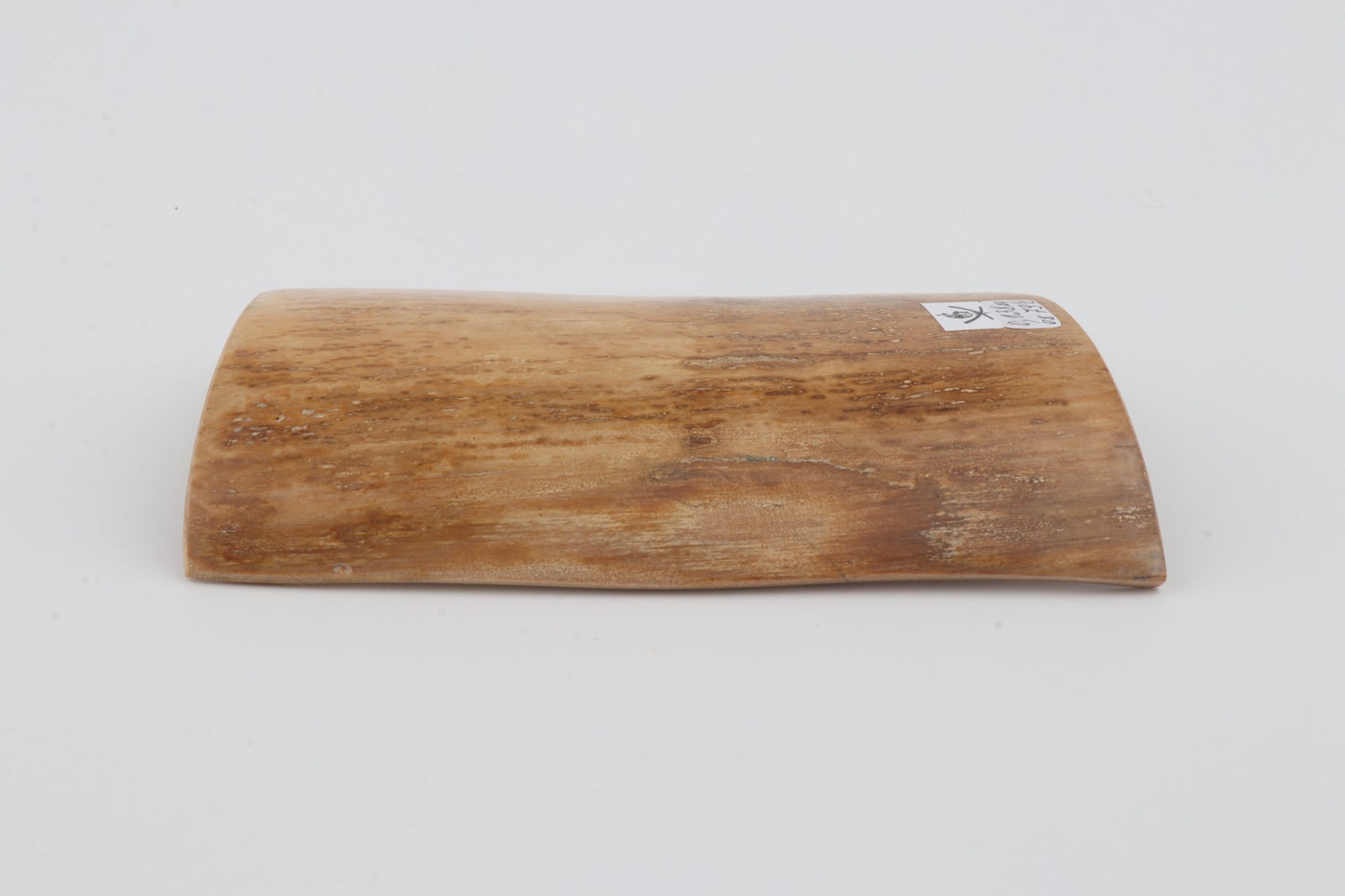 Beige mammoth bark