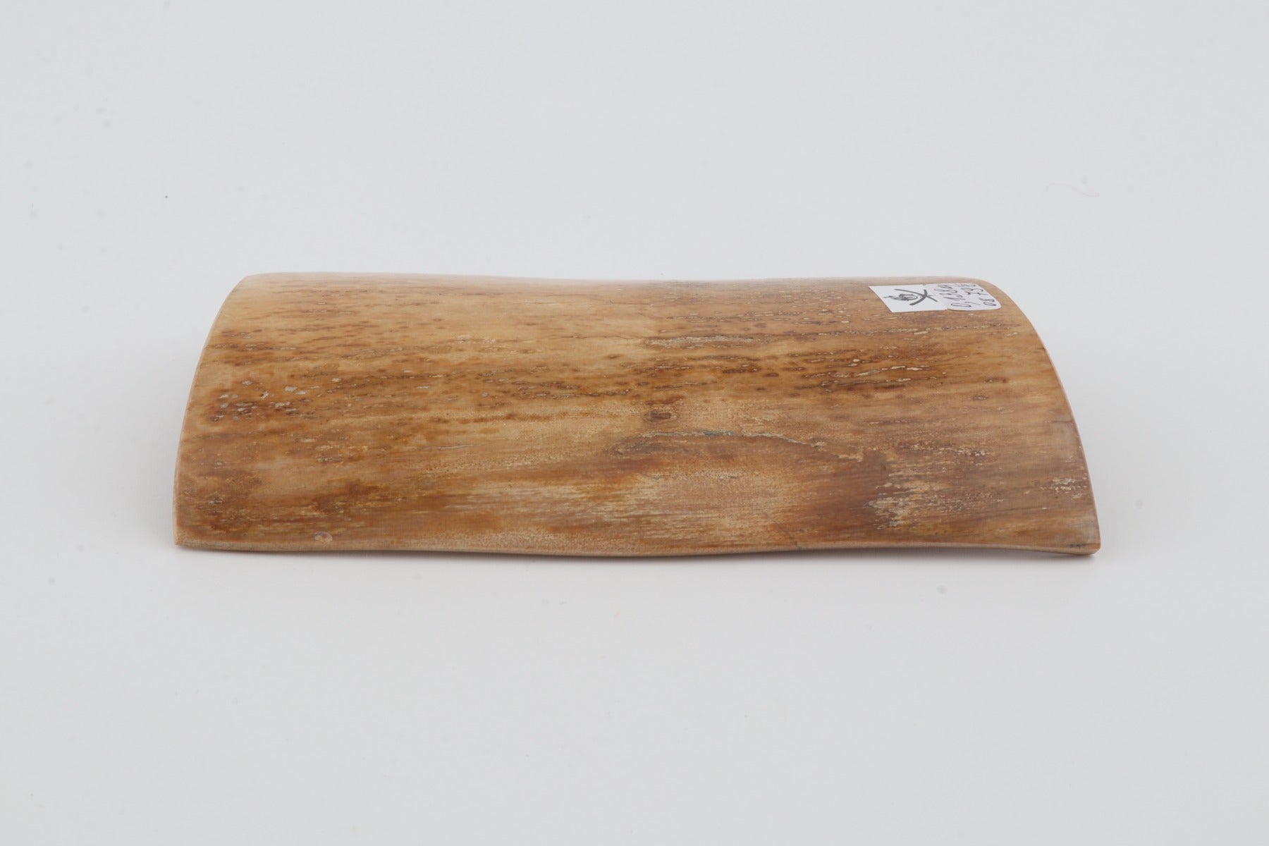Beige mammoth bark