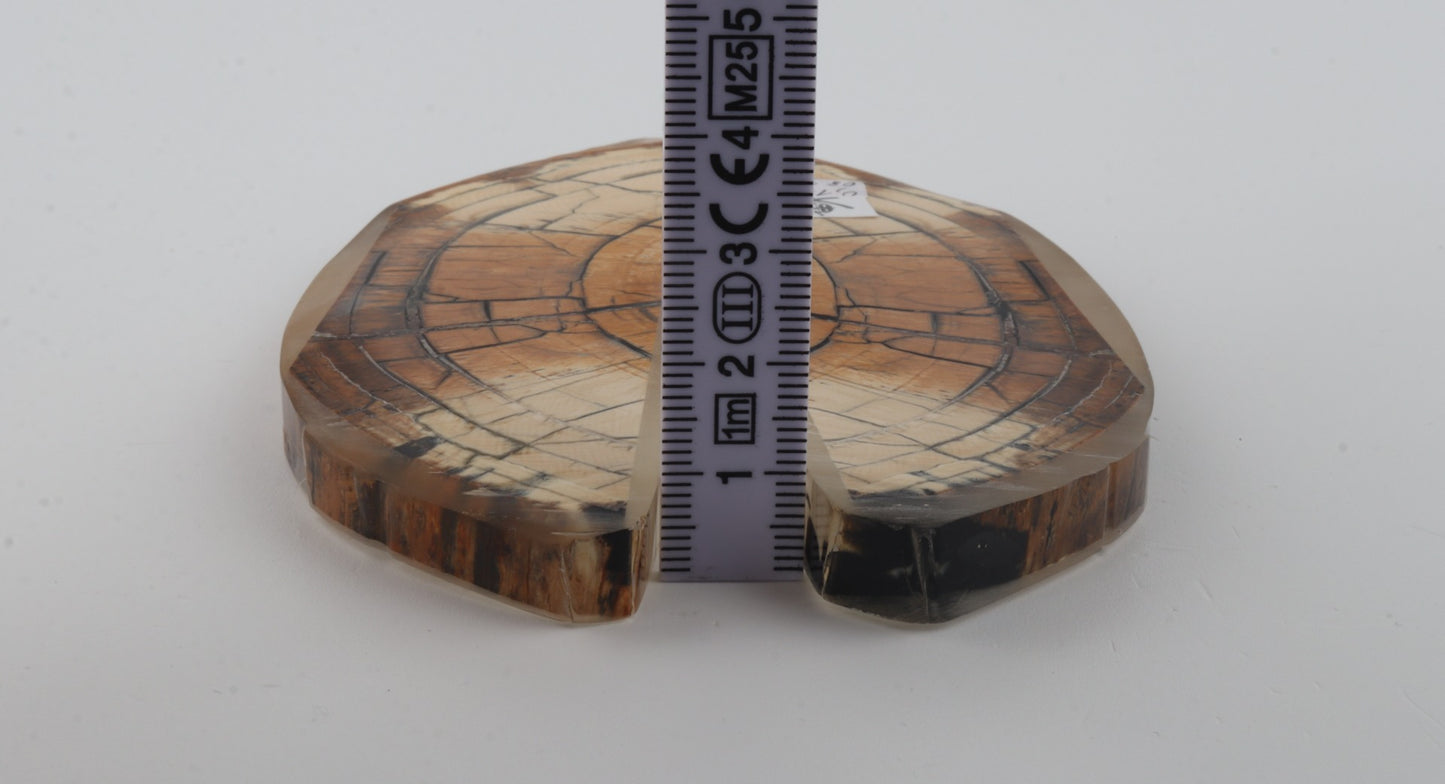 Stabilized mammoth ivory scales