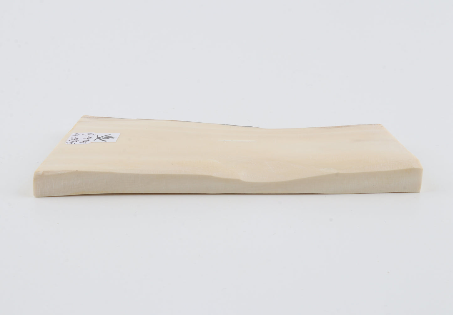 White mammoth ivory segment