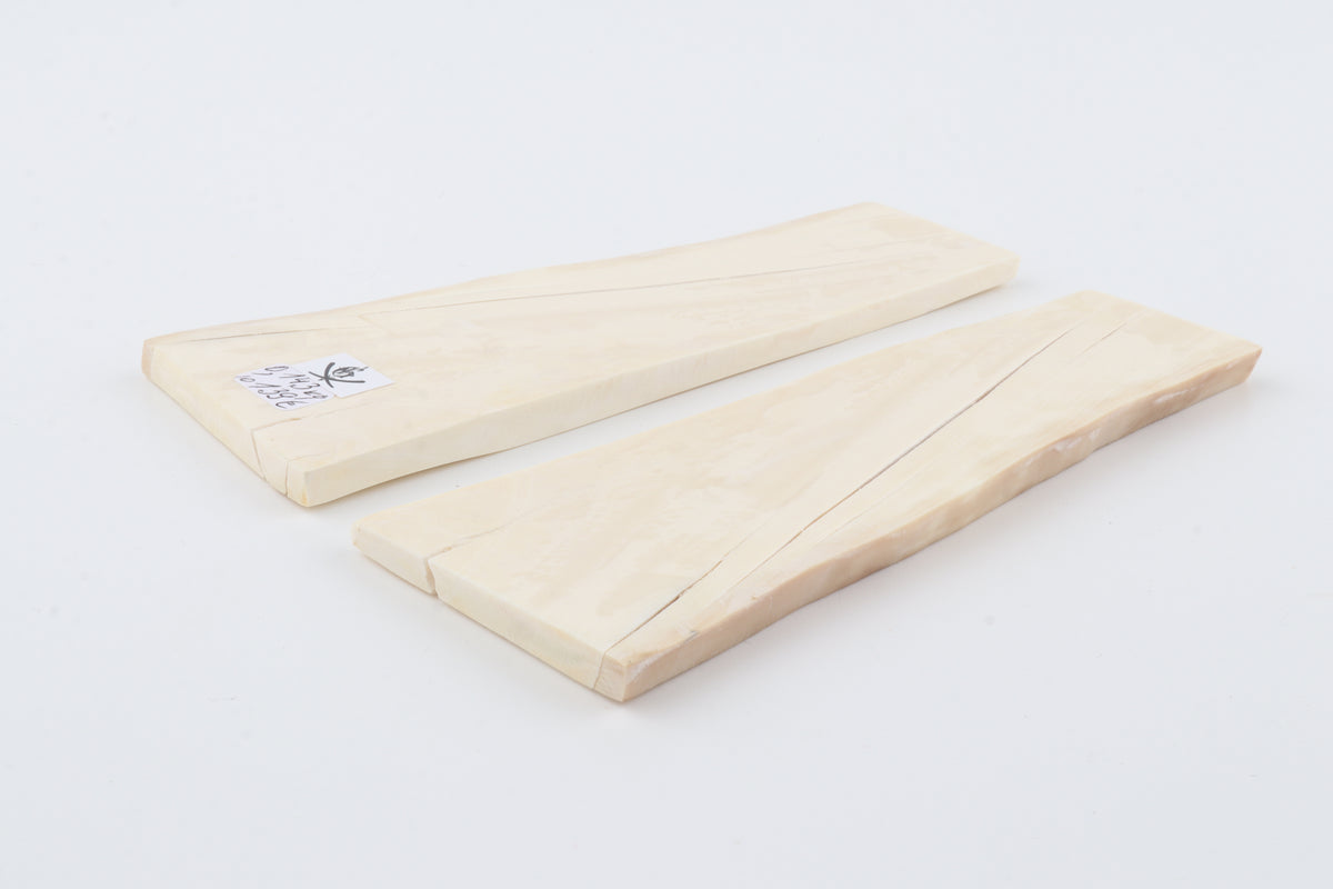 White mammoth ivory scales