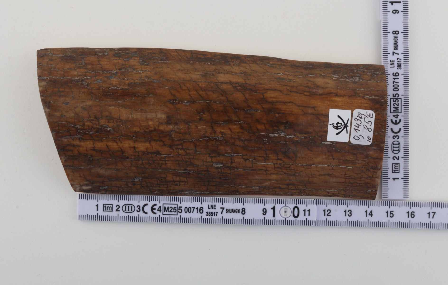 Mustard mammoth bark
