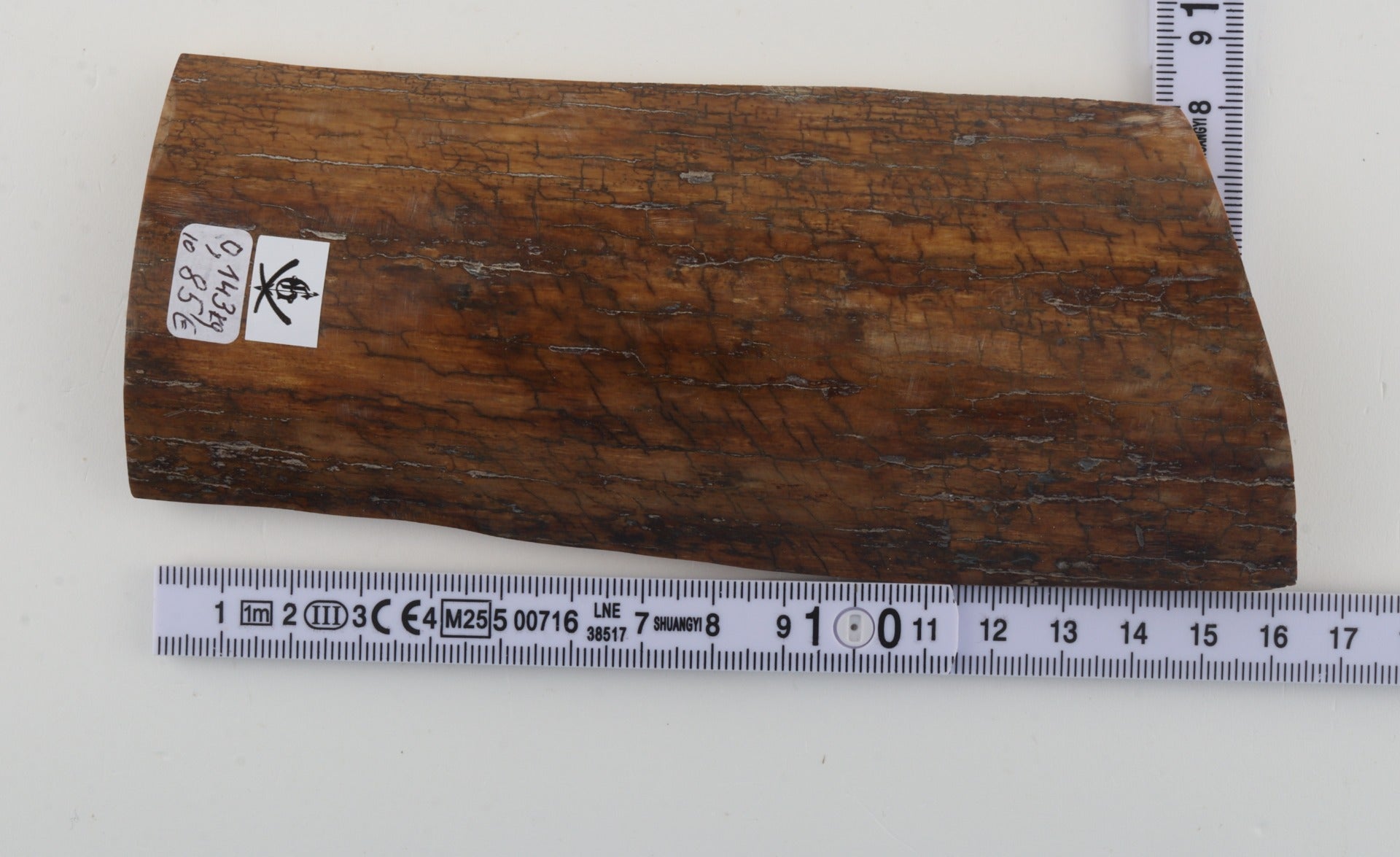 Mustard mammoth bark