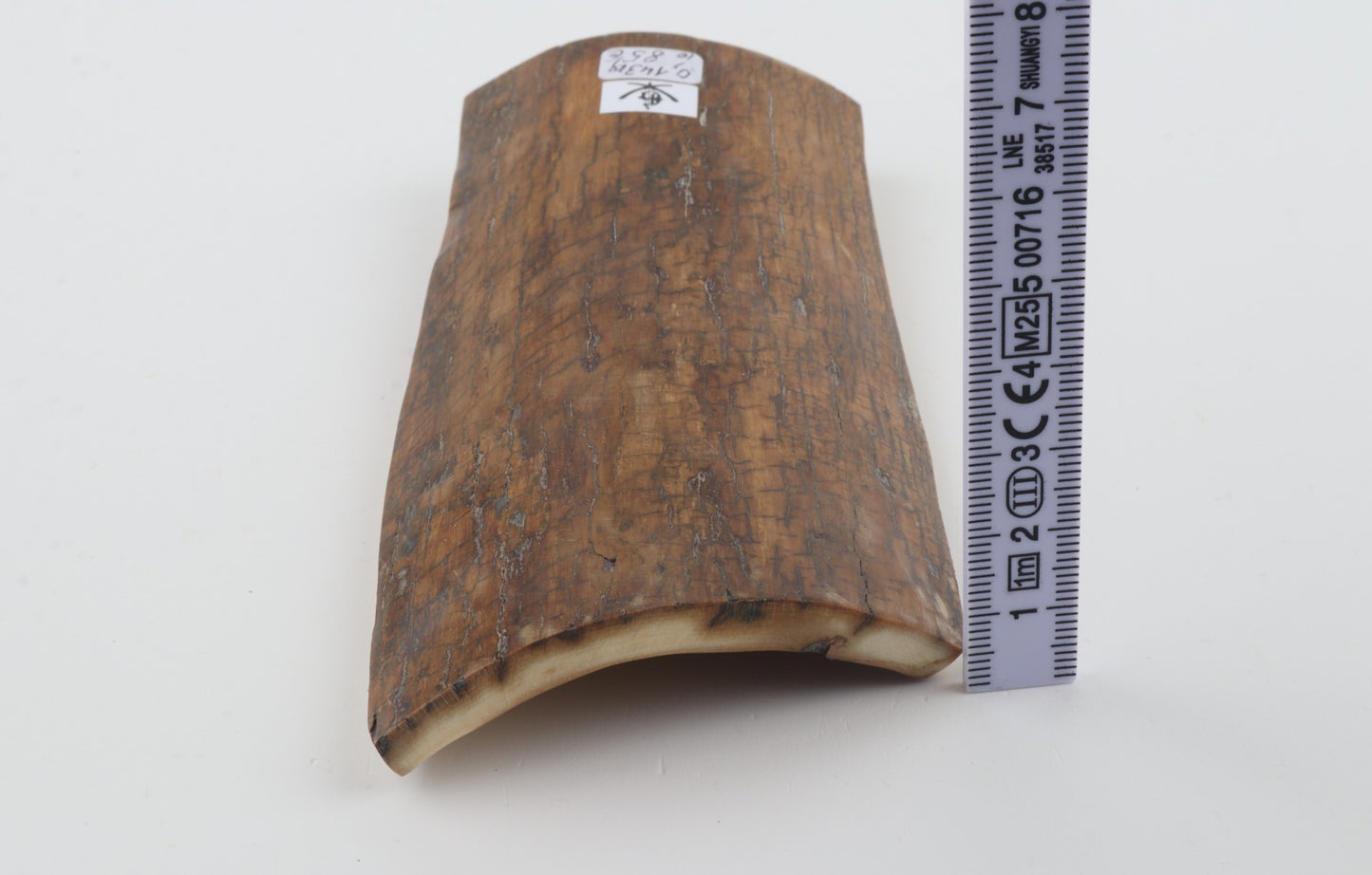Mustard mammoth bark