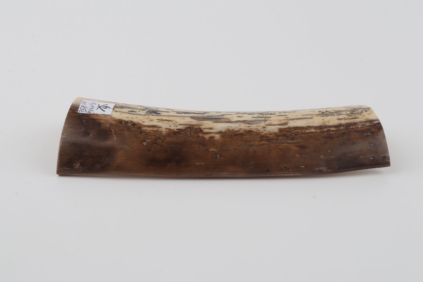 Natural mammoth bark