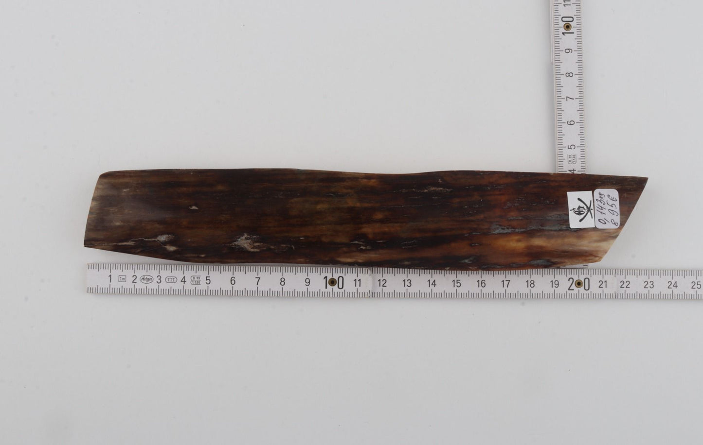 Brown mammoth bark