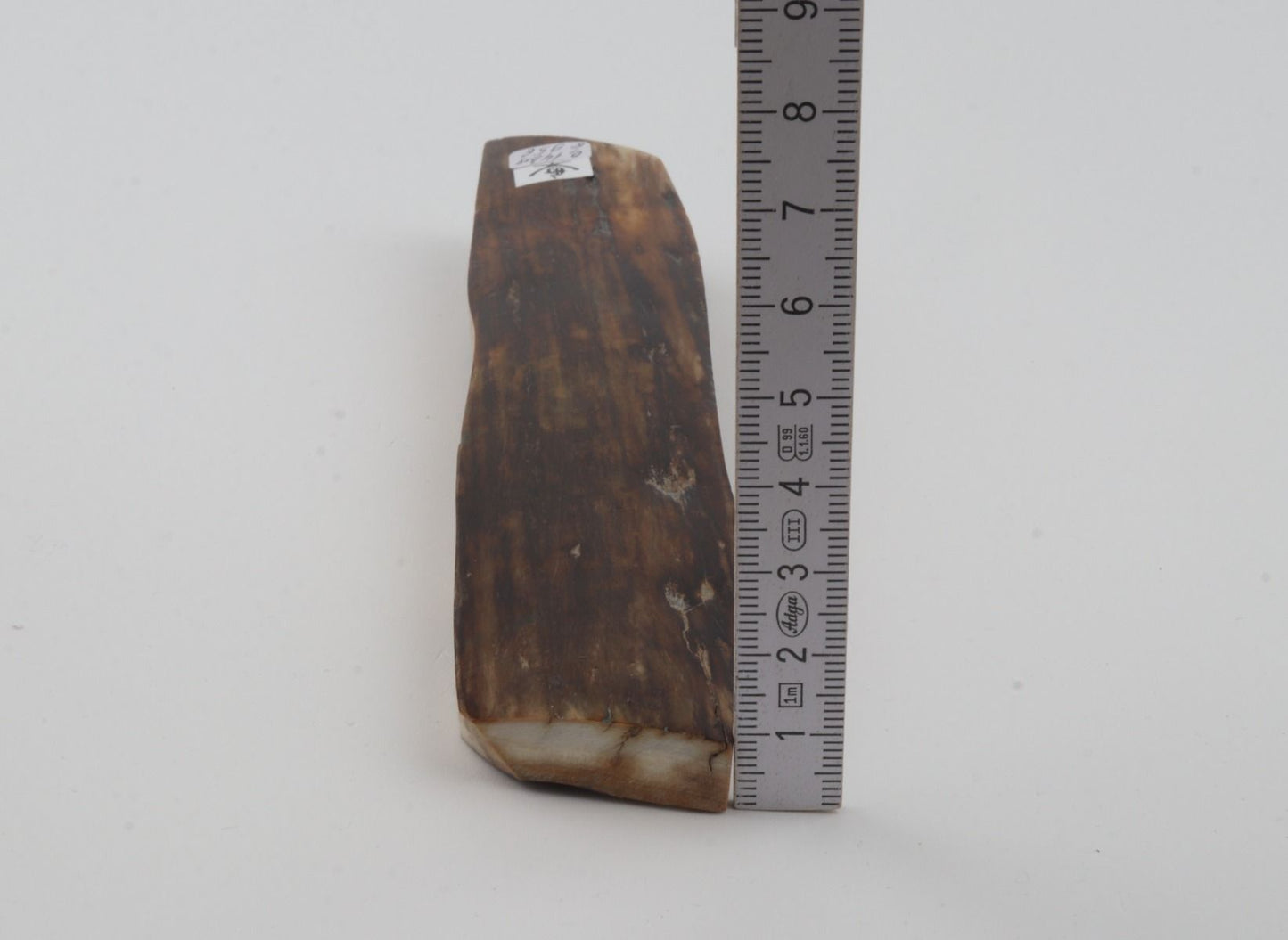 Brown mammoth bark