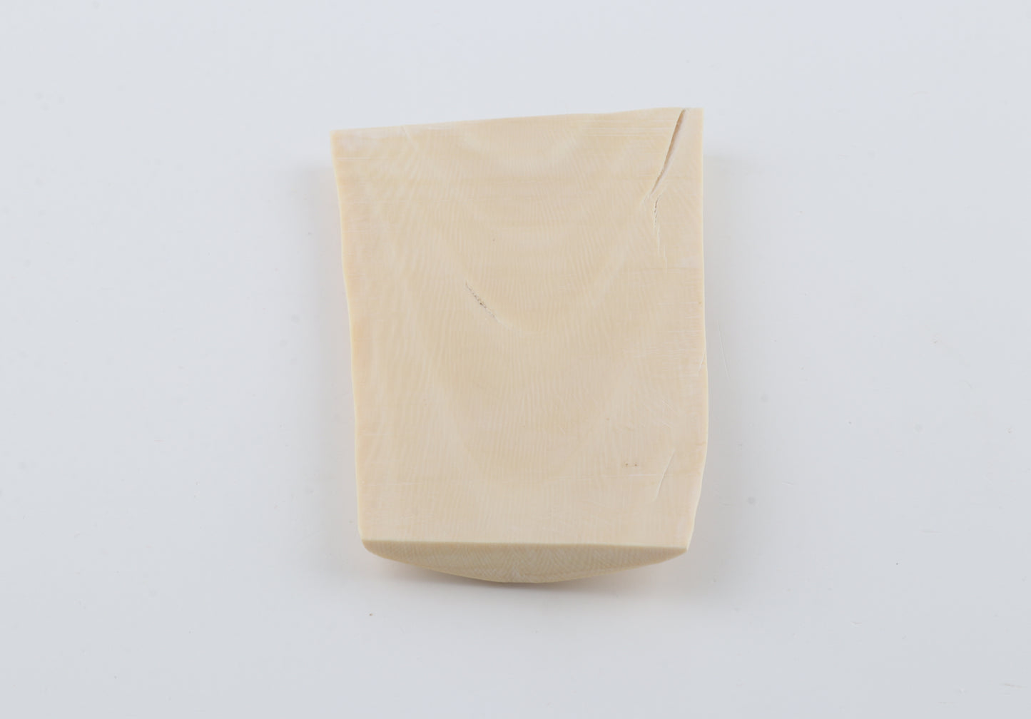 White mammoth ivory segment