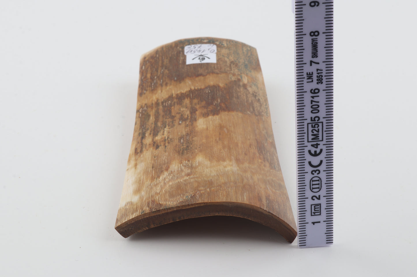 Beige-brown mammoth bark