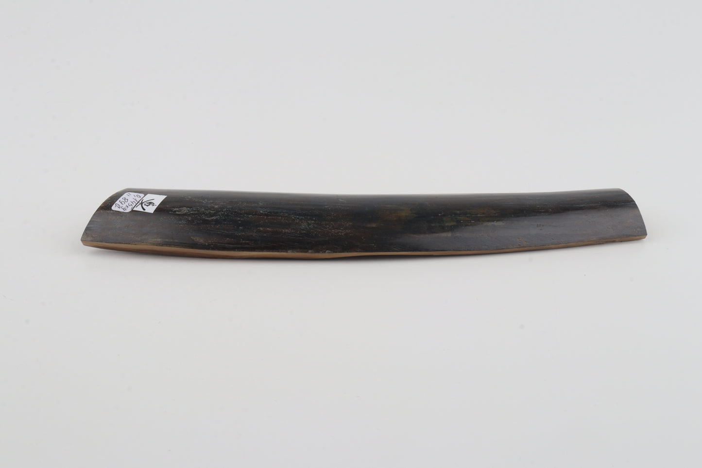 Brown-blue mammoth bark