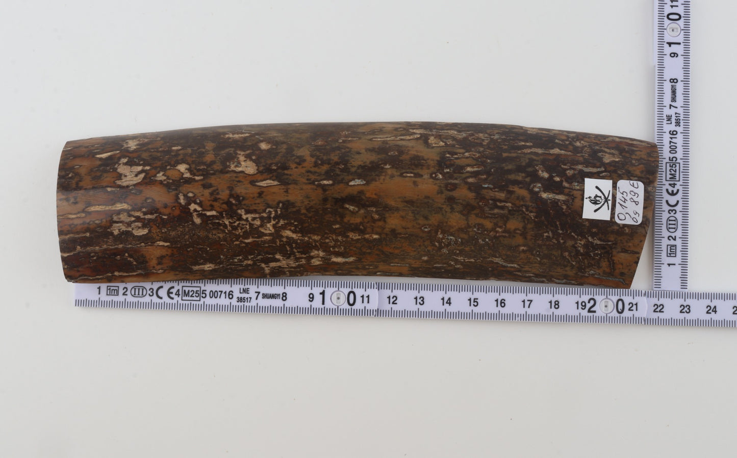Brown-mustard mammoth bark
