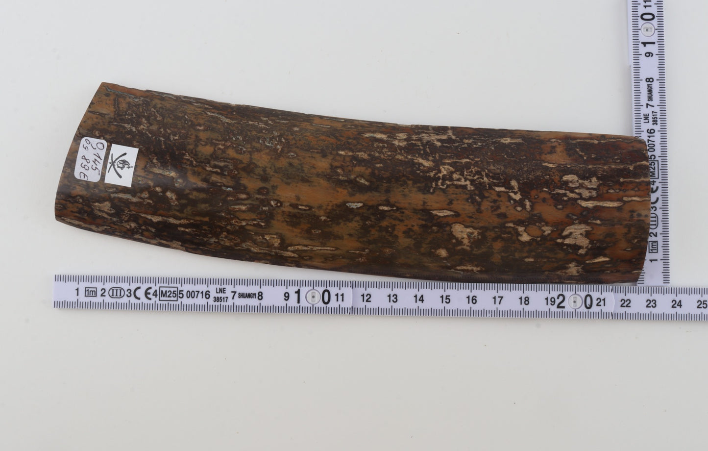 Brown-mustard mammoth bark