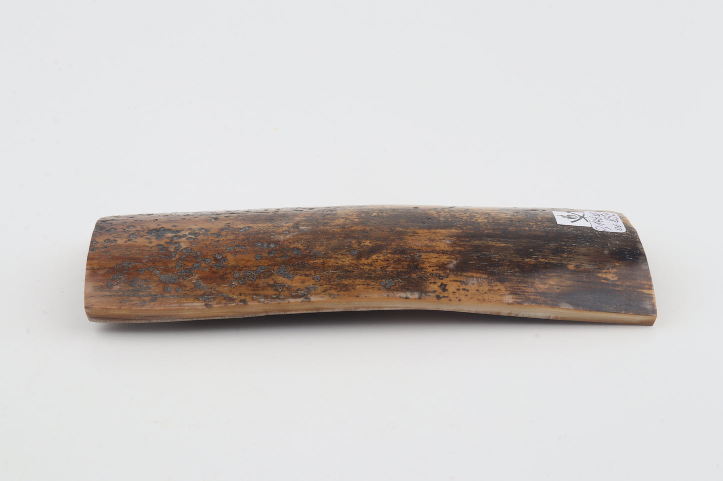 Brown-mustard mammoth bark