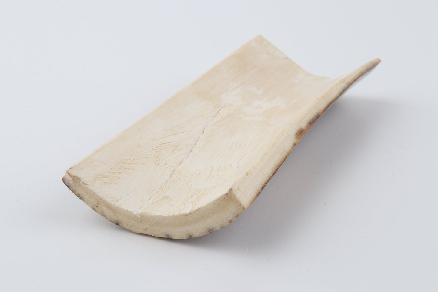 Brown-green mammoth bark