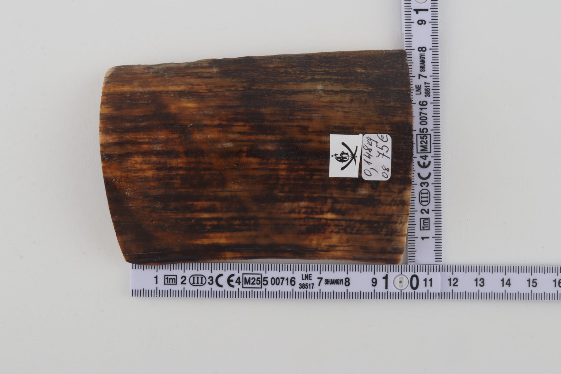 Brown-orange mammoth bark