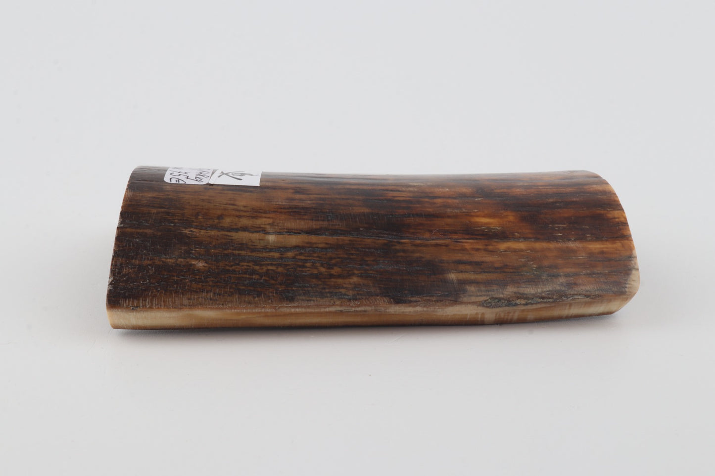 Brown-orange mammoth bark