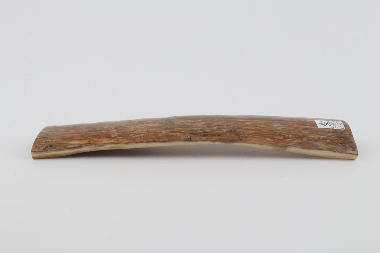 Beige mammoth bark